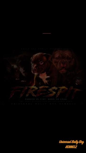 @BULLY BOY FAMILY PRODUCTIONS