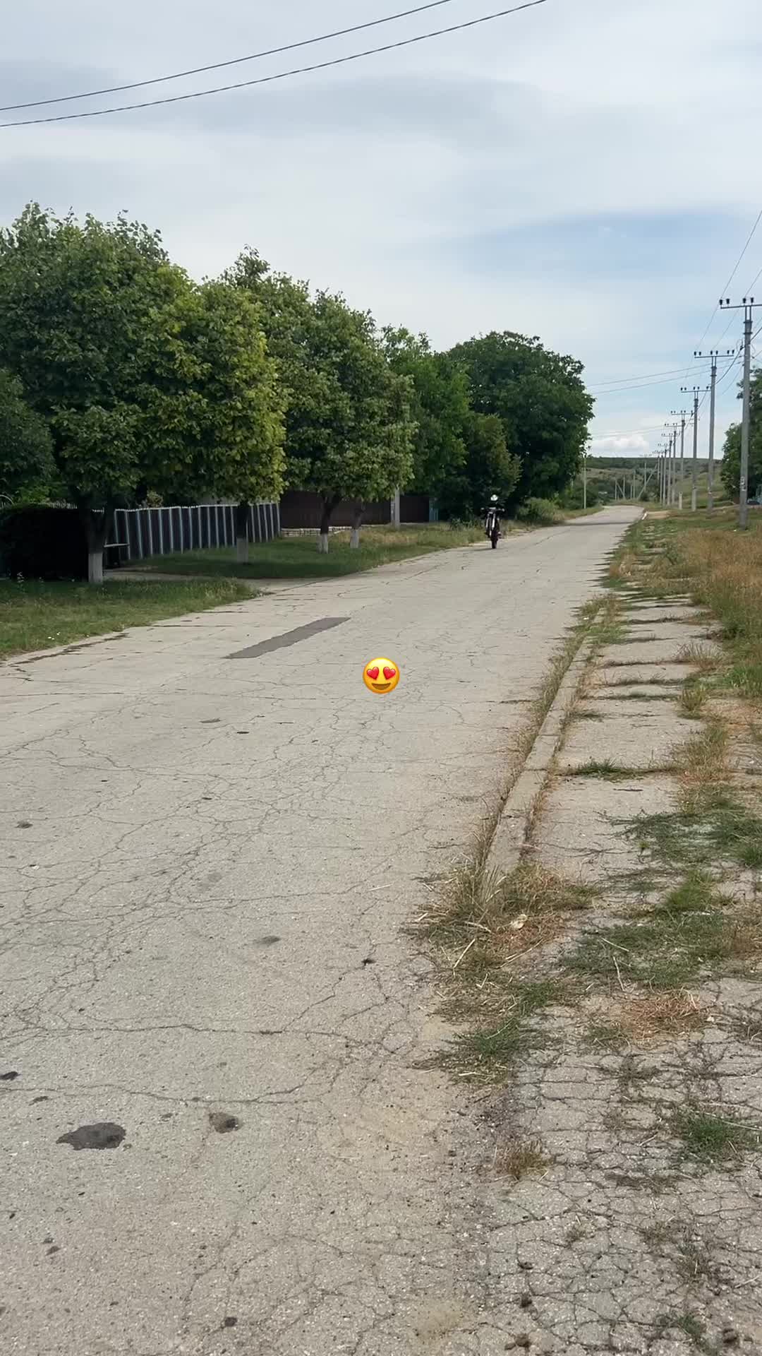 @ɴɪᴋɪᴛᴀ_🕸