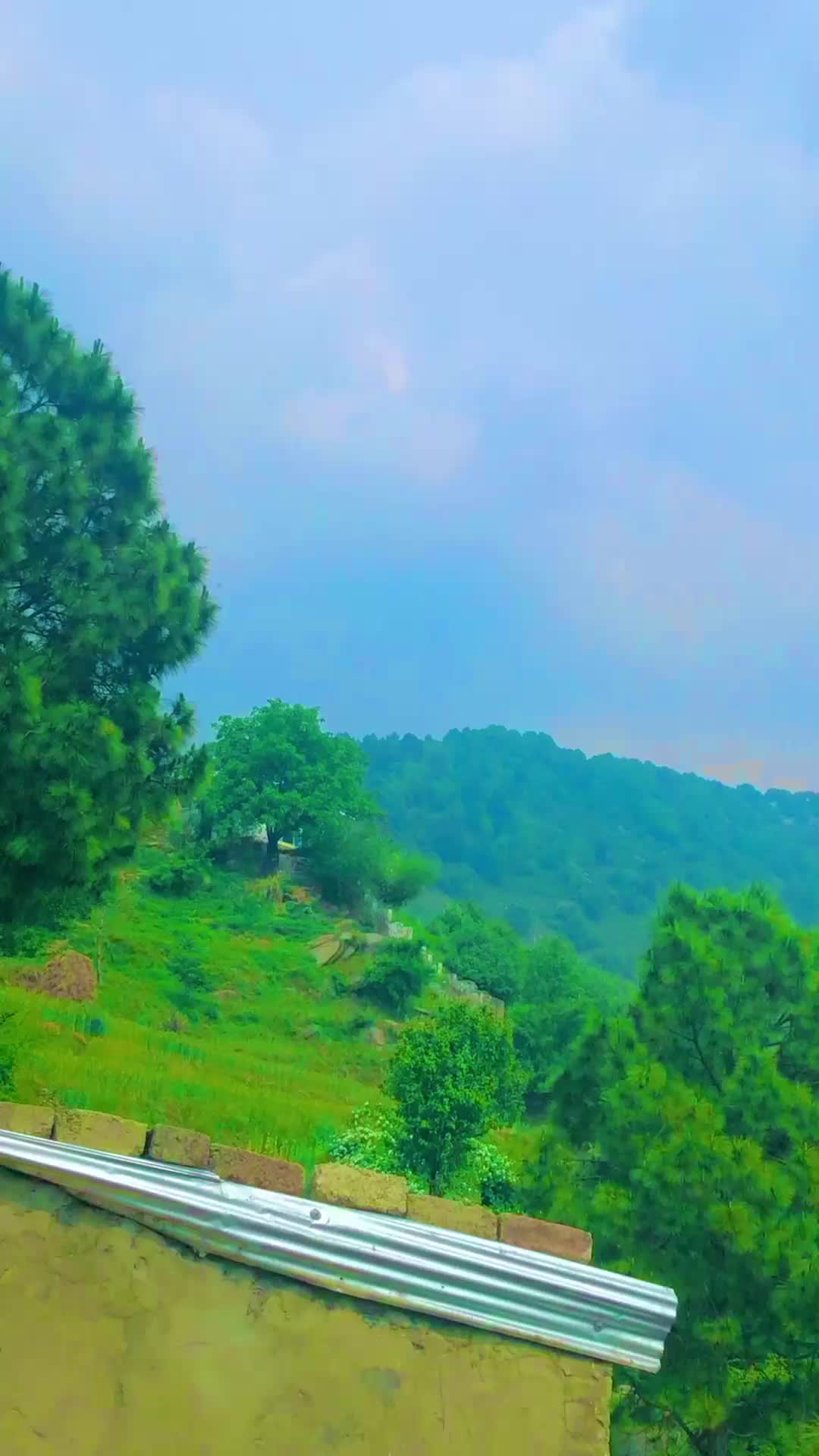 @وطن گلونہ