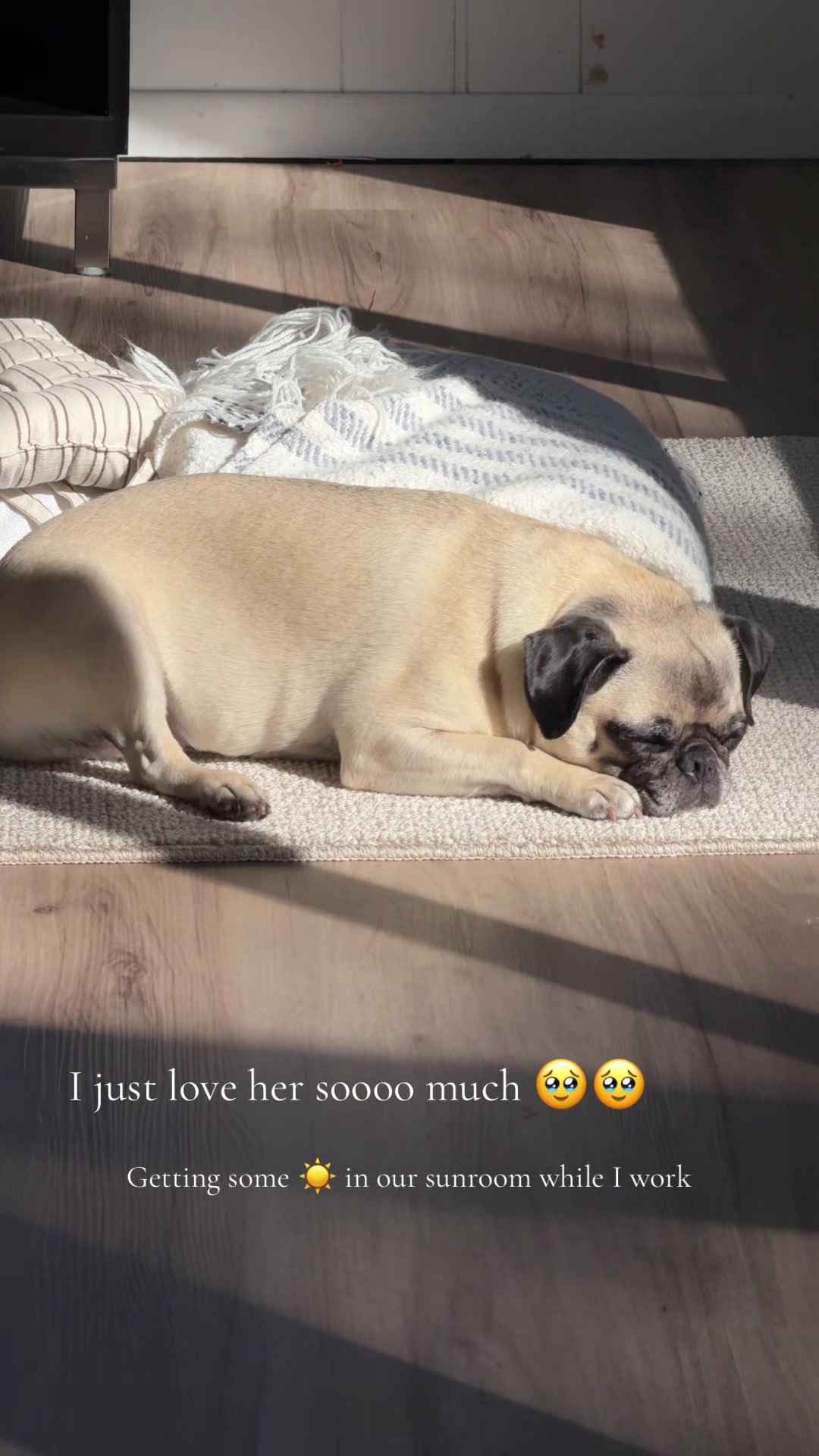 @sassypuggy