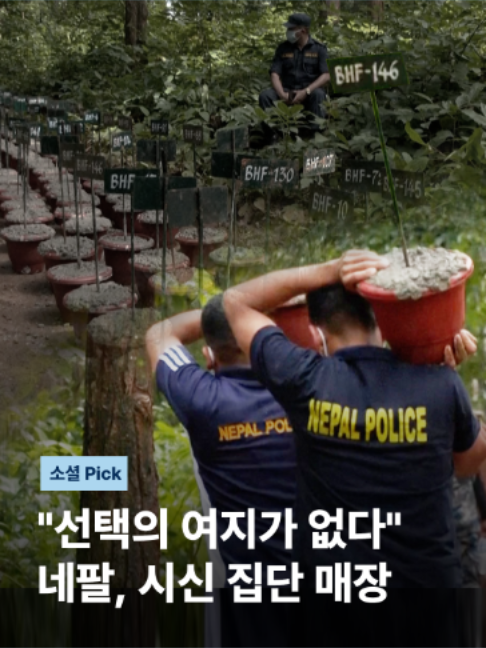 @JTBC News