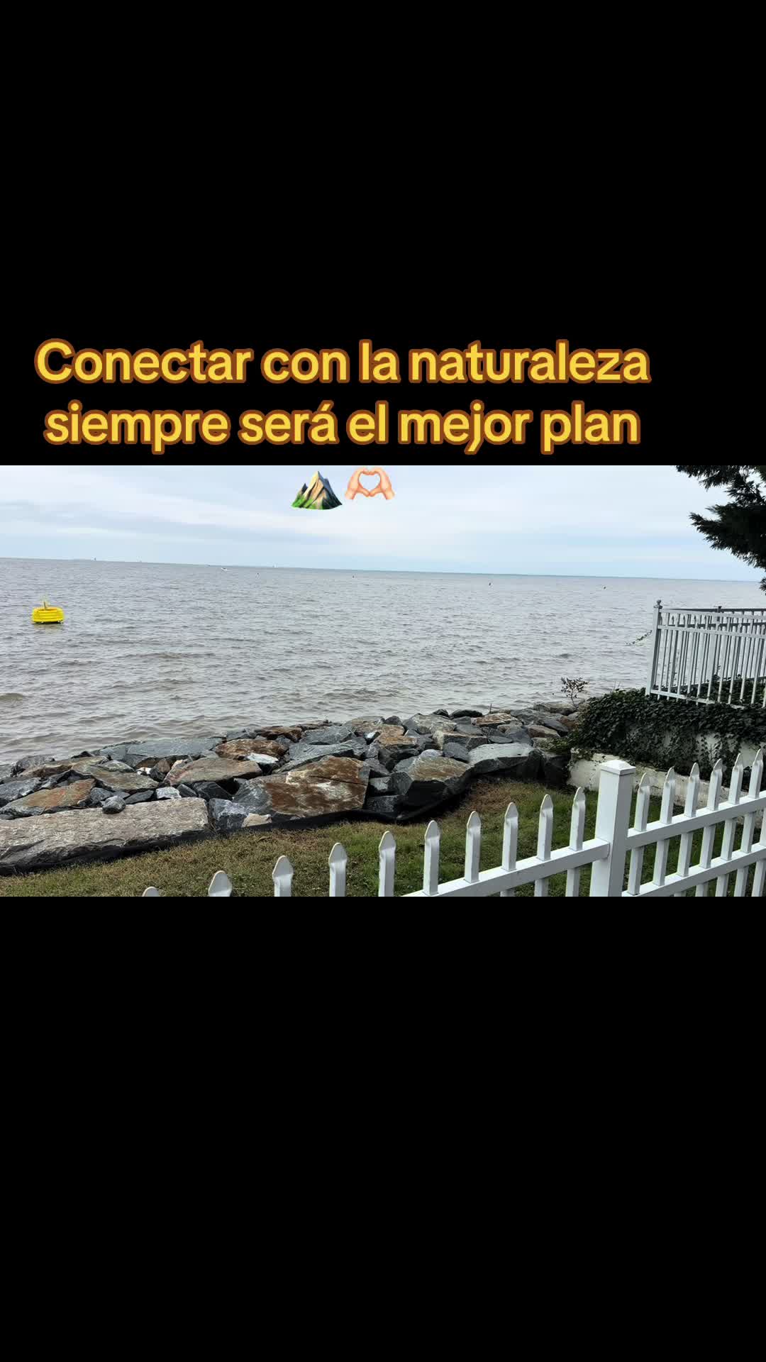 @Dinora Maldonado