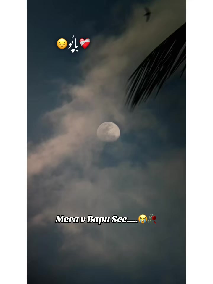 @⚜️𝐊𝐇𝐎𝐊𝐇𝐀𝐑❤️&zwj;🩹
