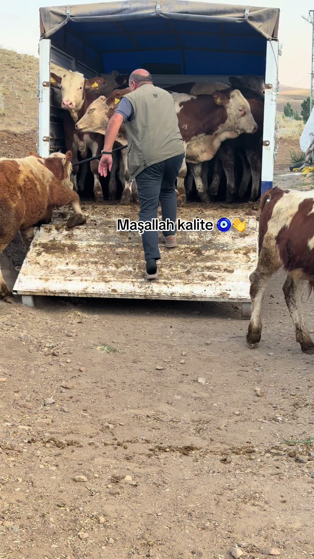 @yusuf yıldırım 04