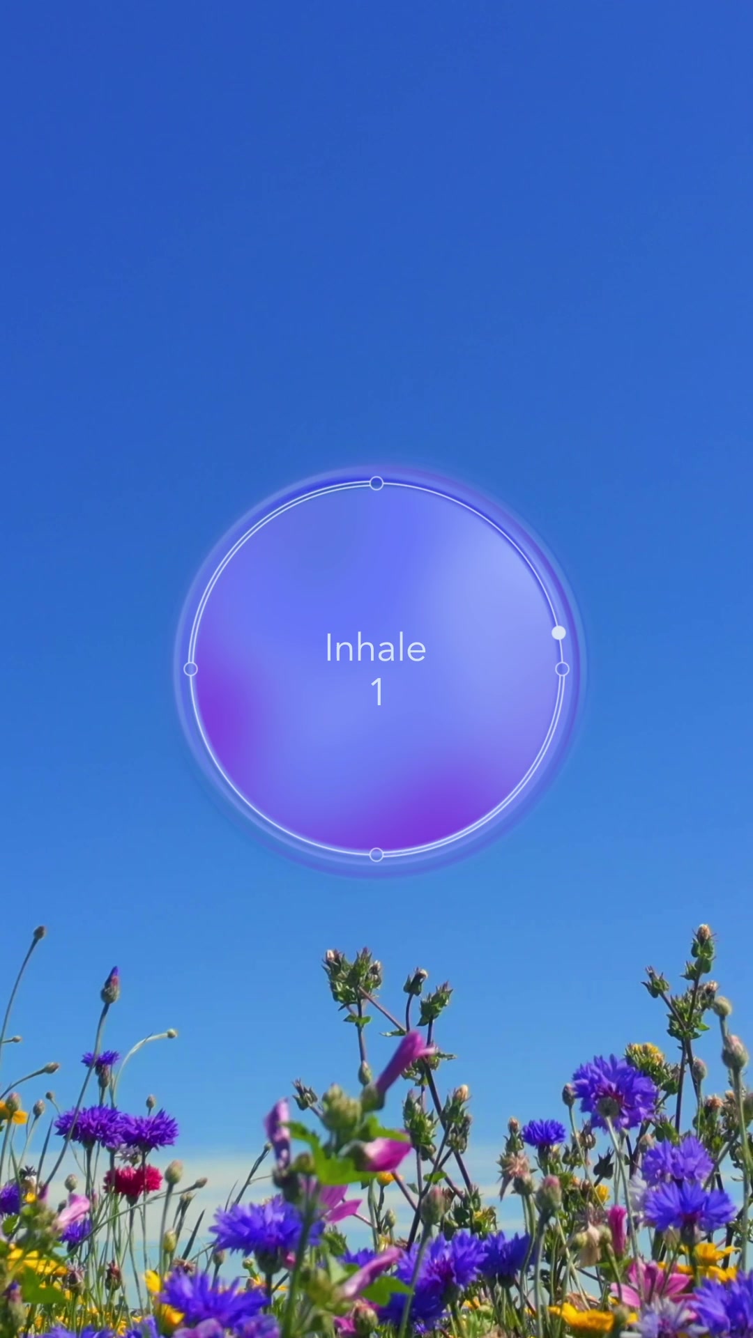 @Calm
