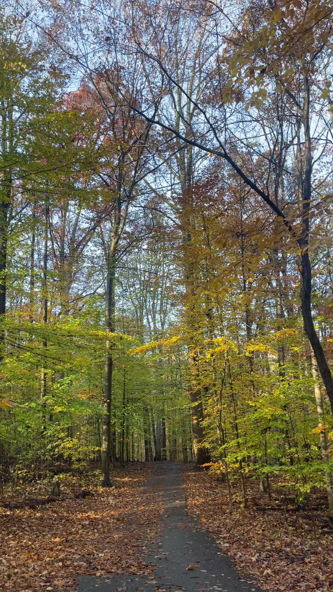 @Angelica Vasquez