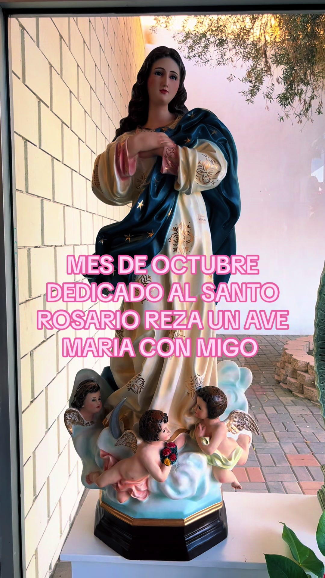 @salmacatolica