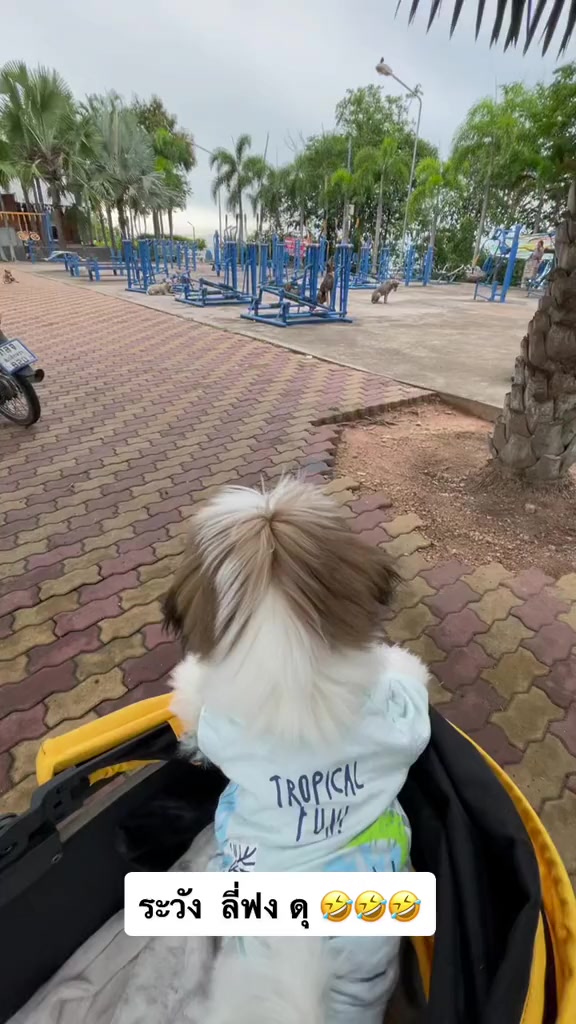 @usernametiktok624
