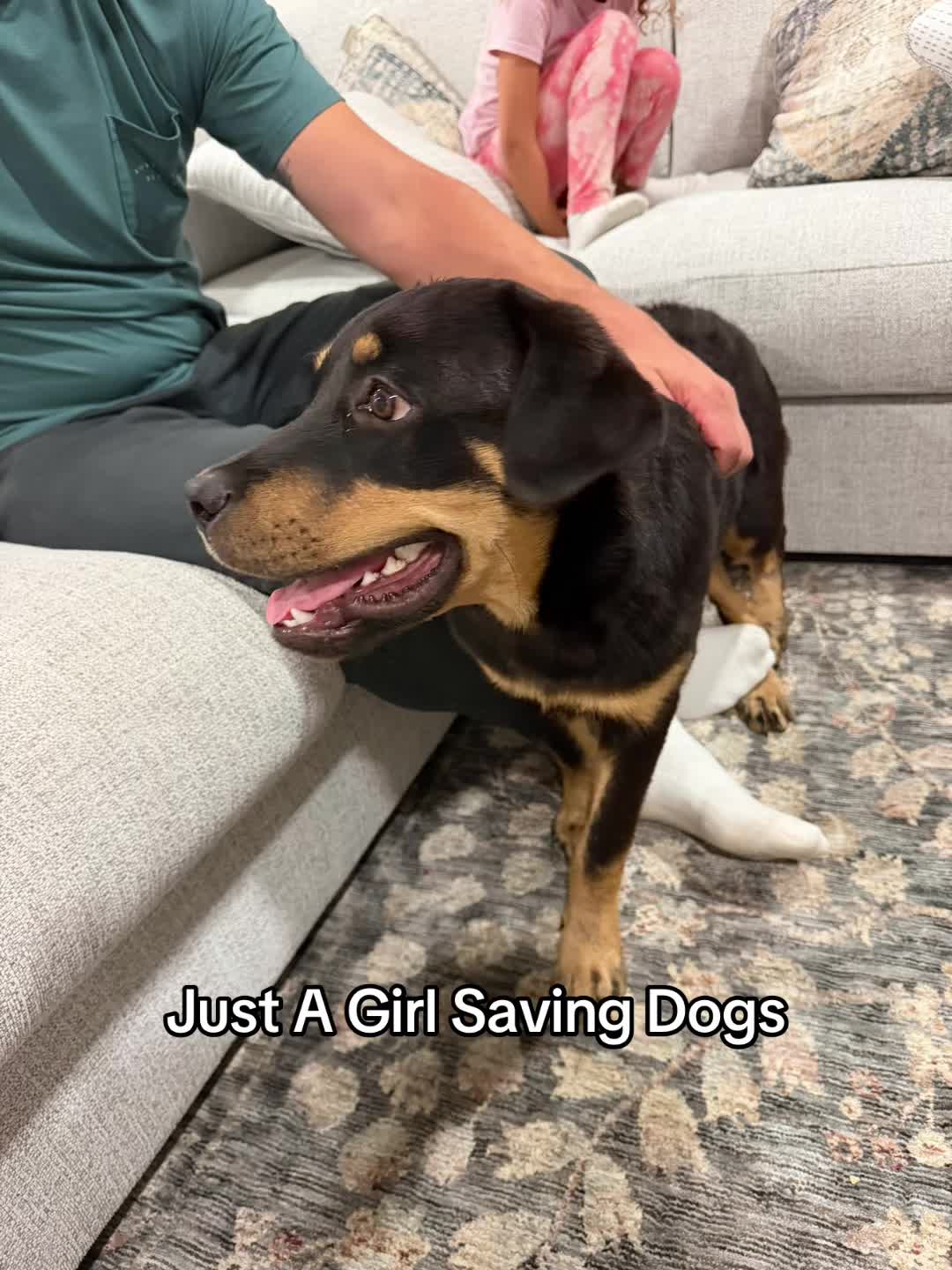 @Just A Girl Saving Dogs