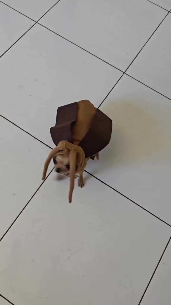 @🥧