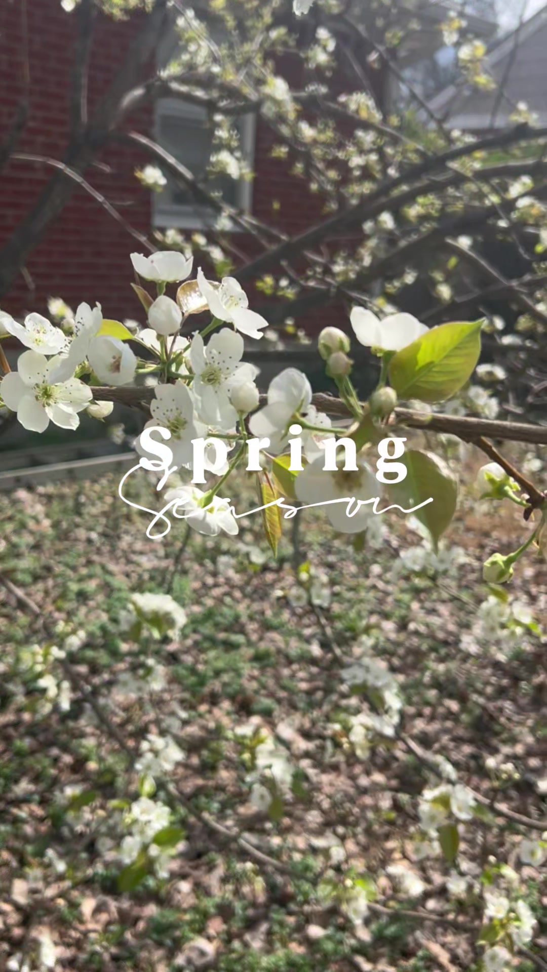 @Learn With Me - Riley