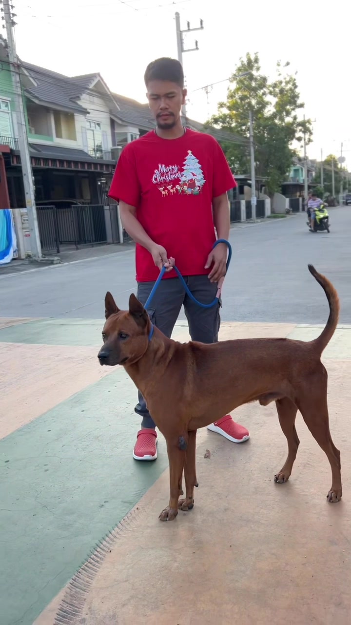 @Singh Thong Shop