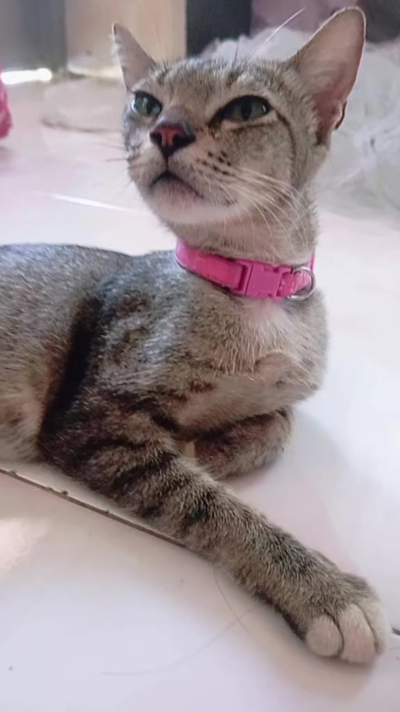 @โง๐๐ฎ๐ฐ๐ช๐ทโง