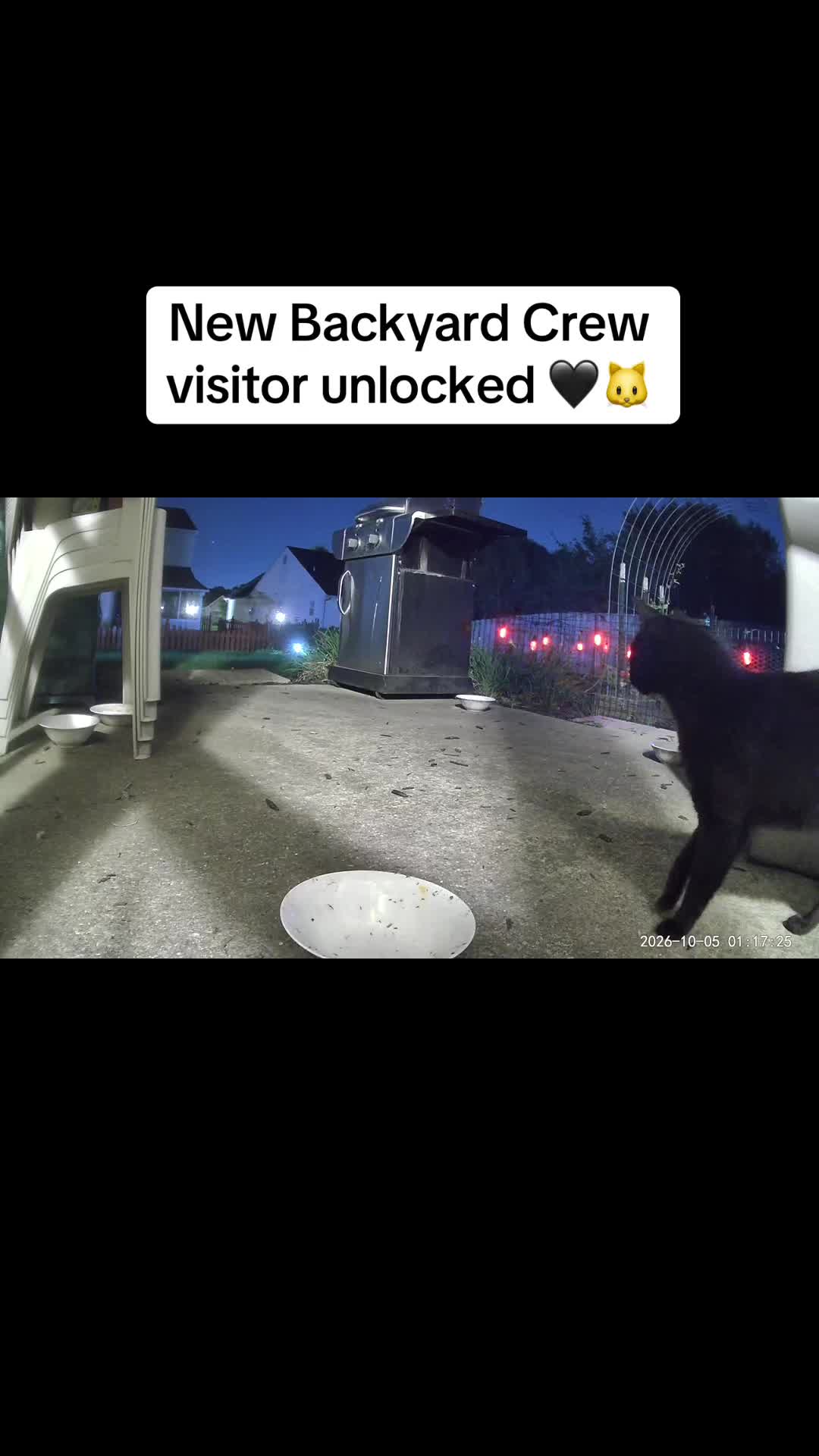 @ErinHessionWooton
