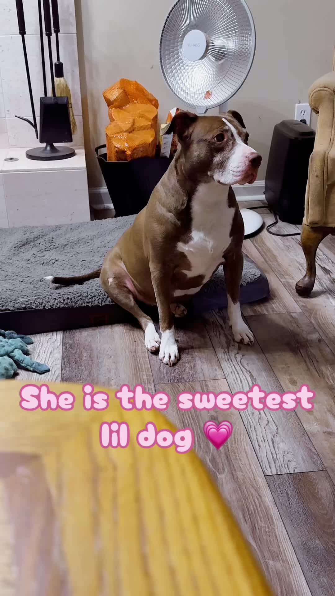 @dem fur kids mum