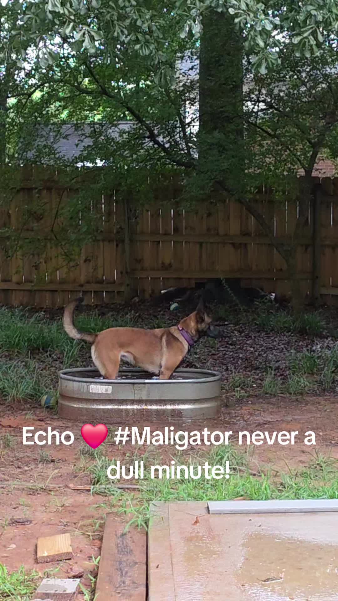 @Echo!
