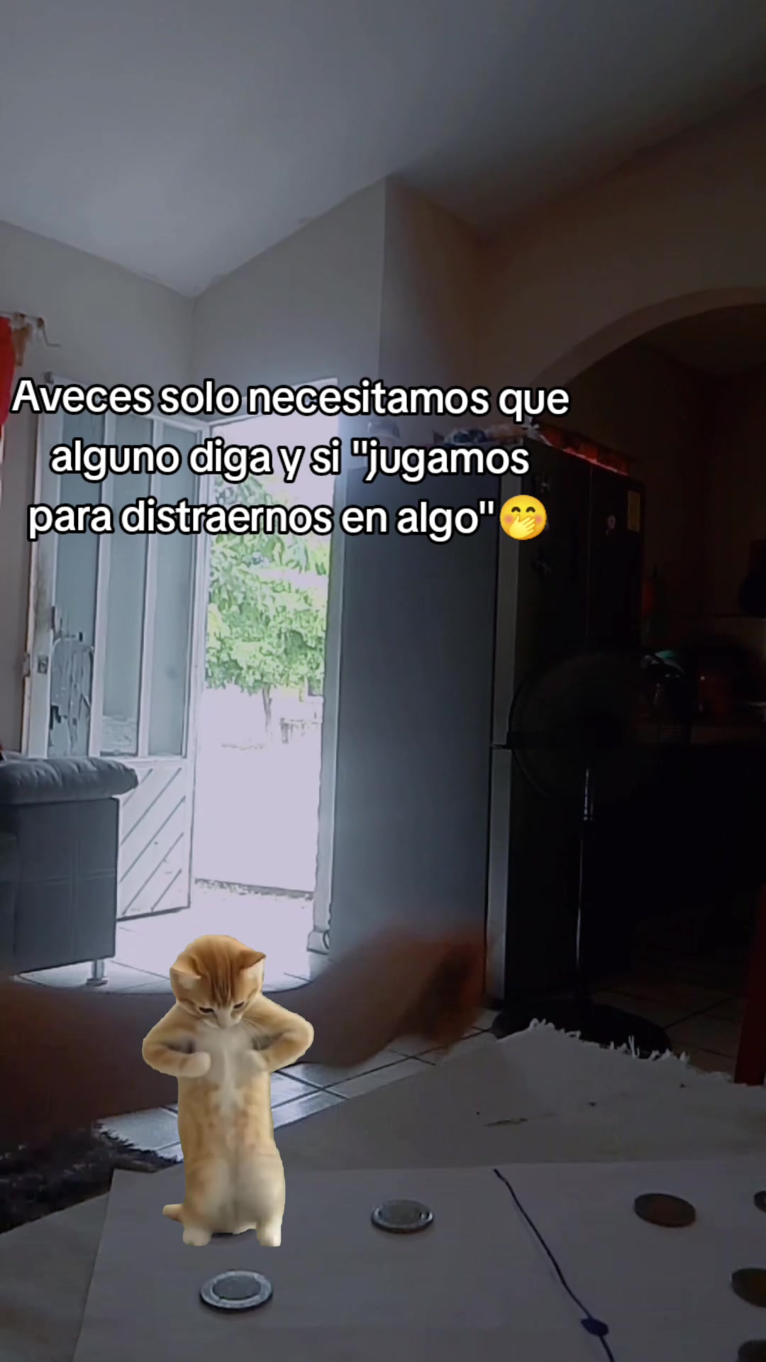 @Luna