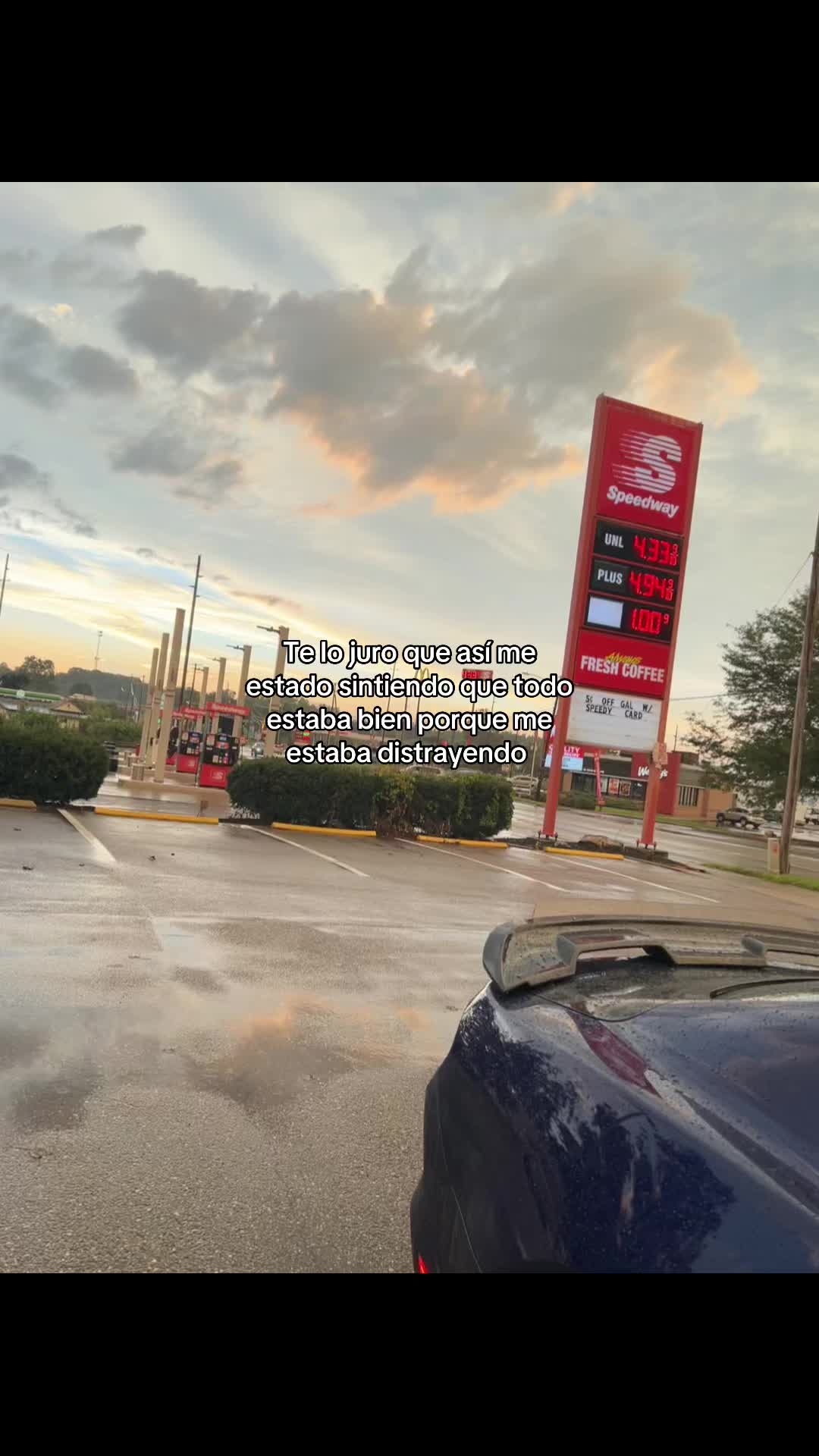 @Luz Gomez