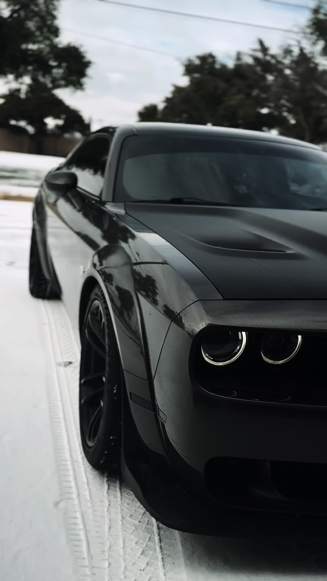 @ItsJustAScat_392