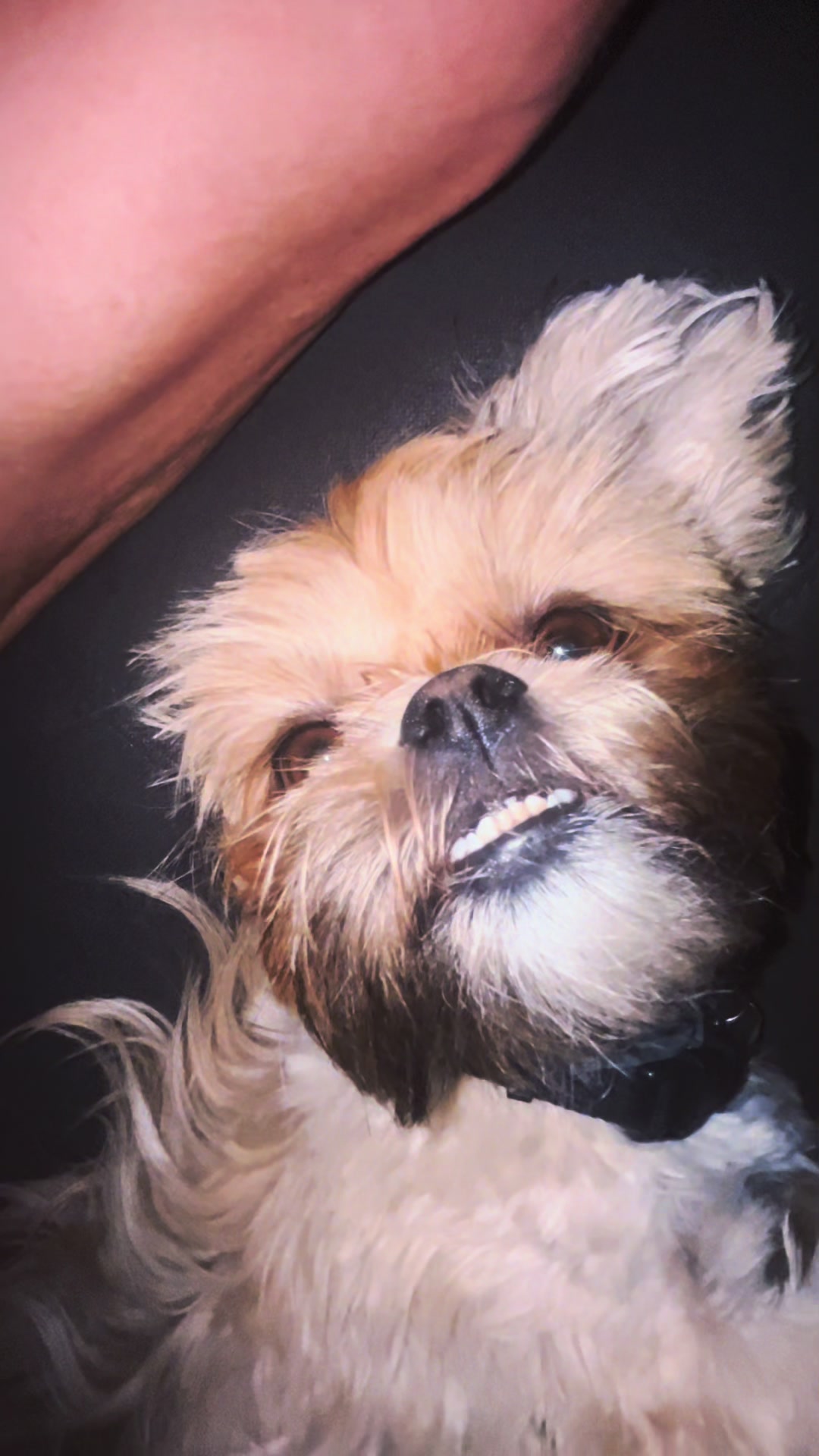 @Duuuviethedog