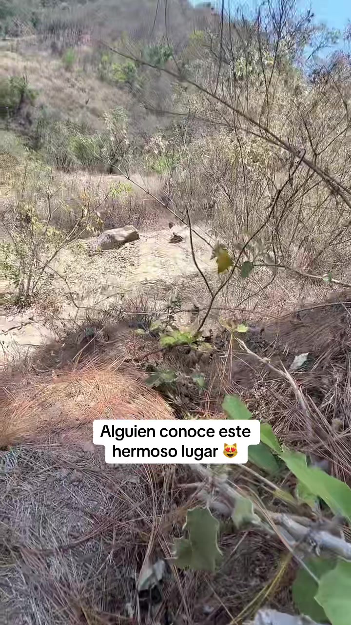 @🤍El chino divertido 502🤍🇬🇹
