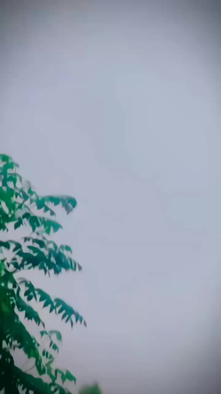 @〄🇸ᴀ ǫ ɪ ʙ ☛🇰 ʜ ᴀ ᴛ ᴛ ᴀ ᴋ 〄