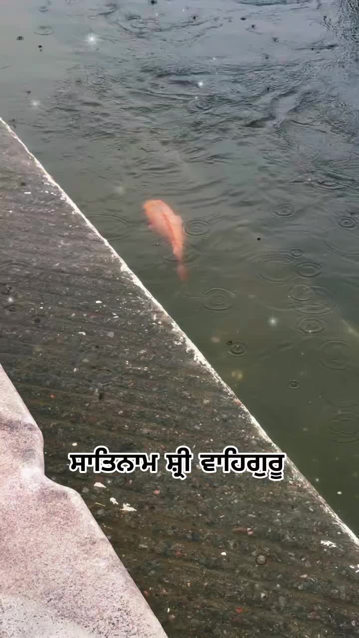 @nagra