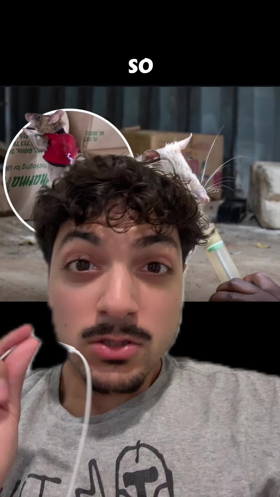 @Sbladn