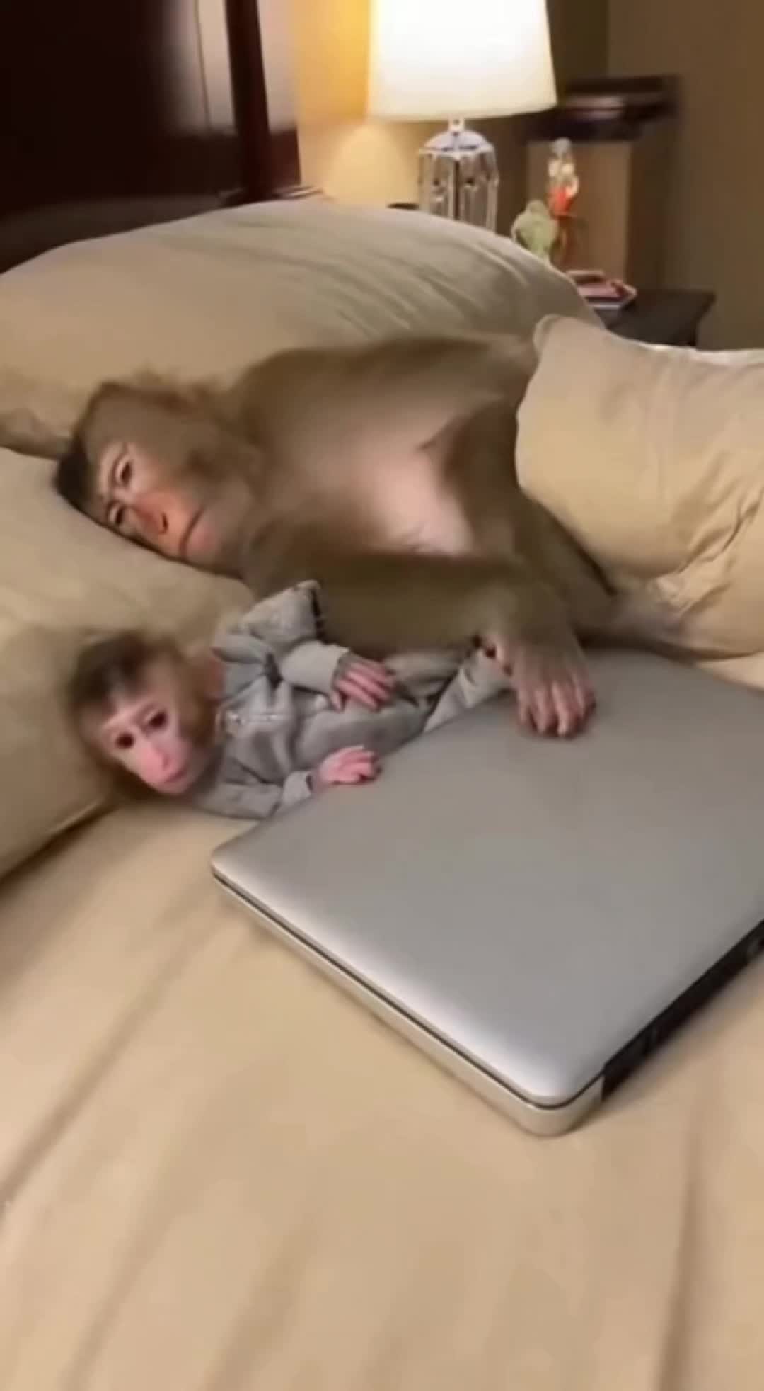 @monkeyfuntime