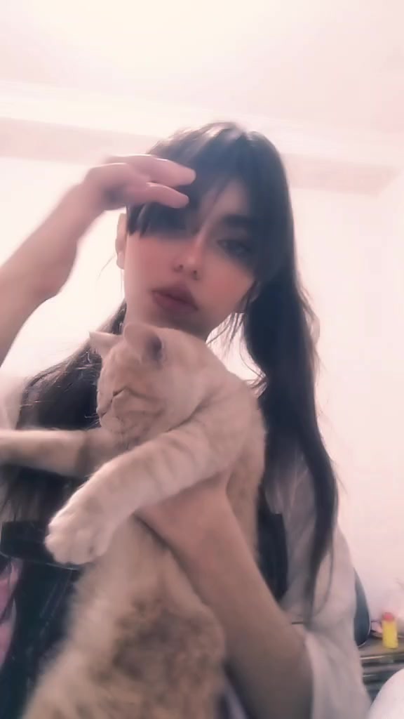 @atena🐾