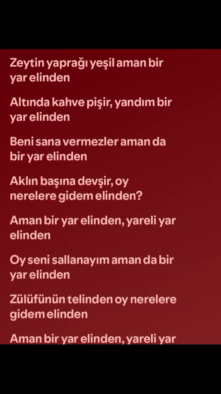 @elnqz