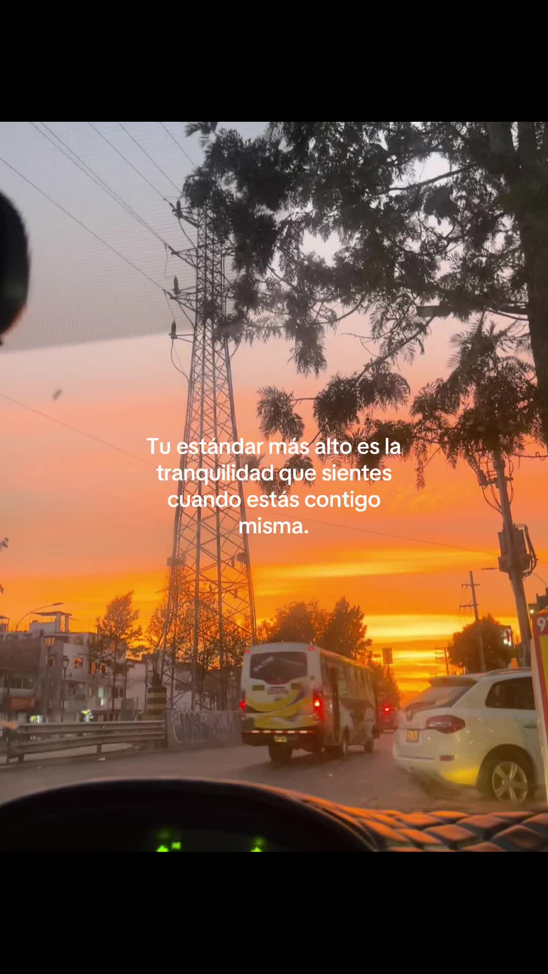 @beluleon_26