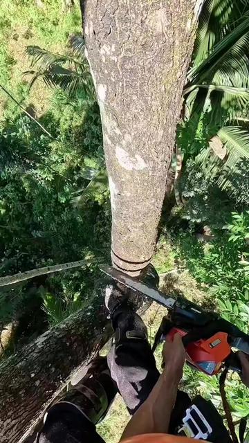 @Yulianto