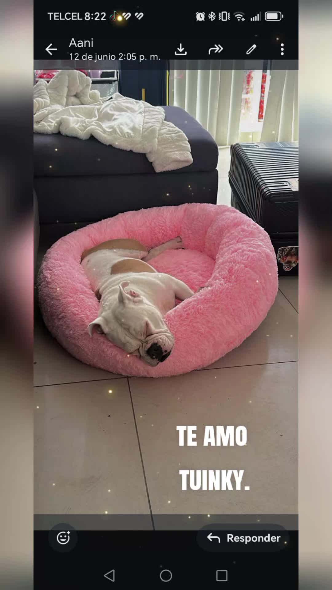 @anianita