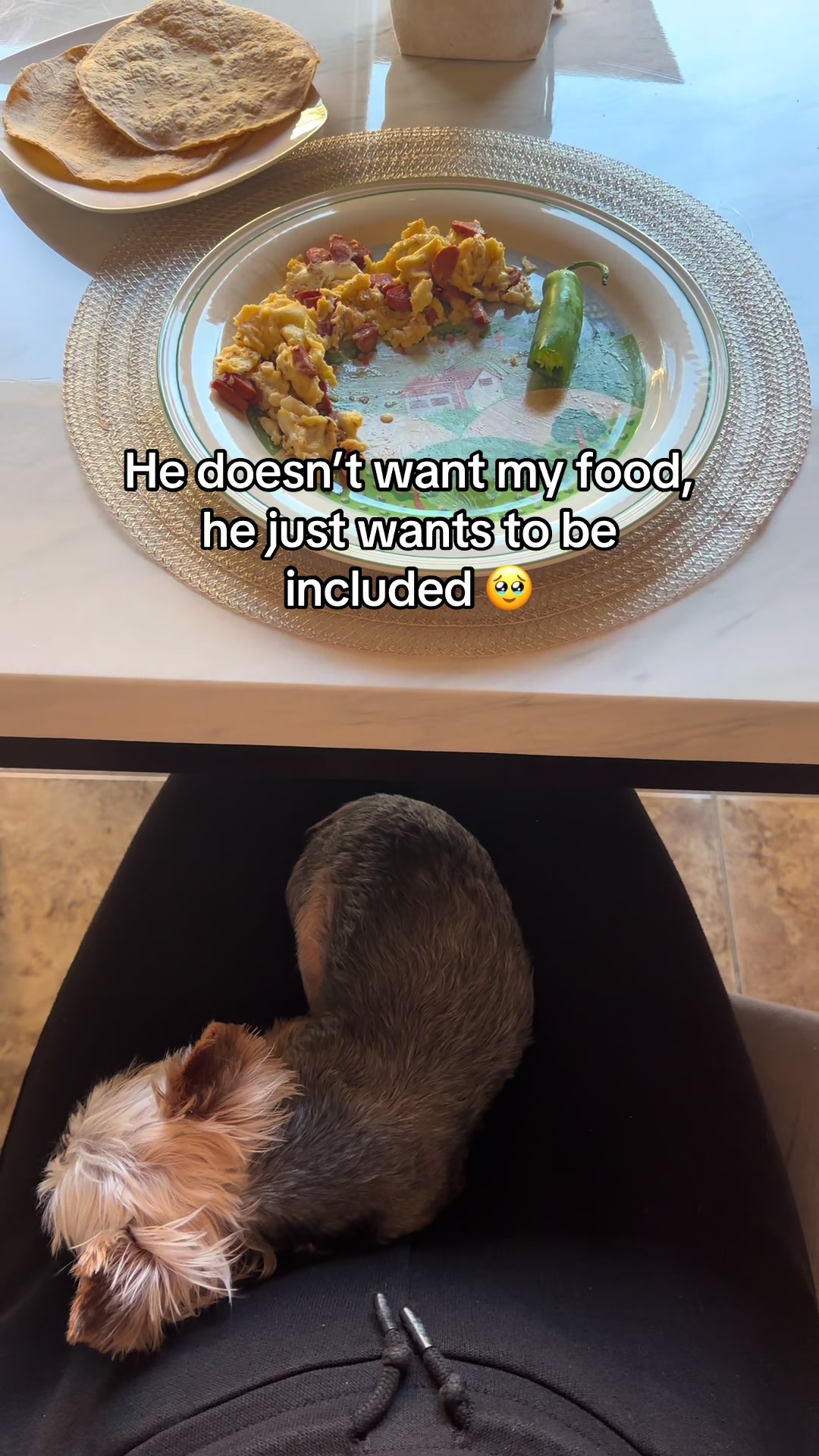 @Milo & Mia 🐾