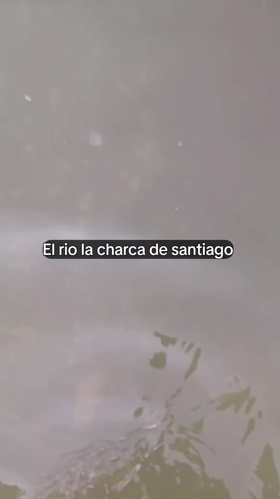 @ELY HIDALGO