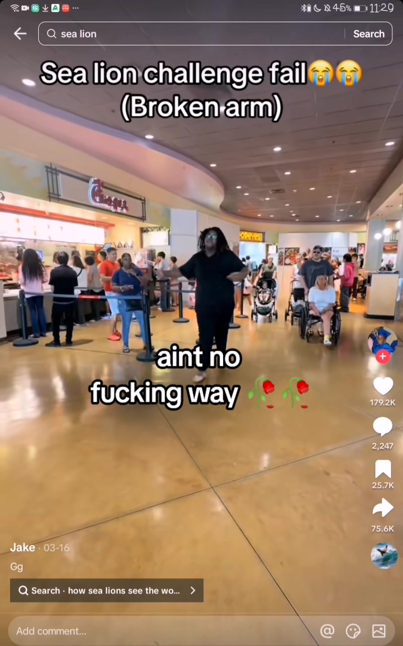 @shikima