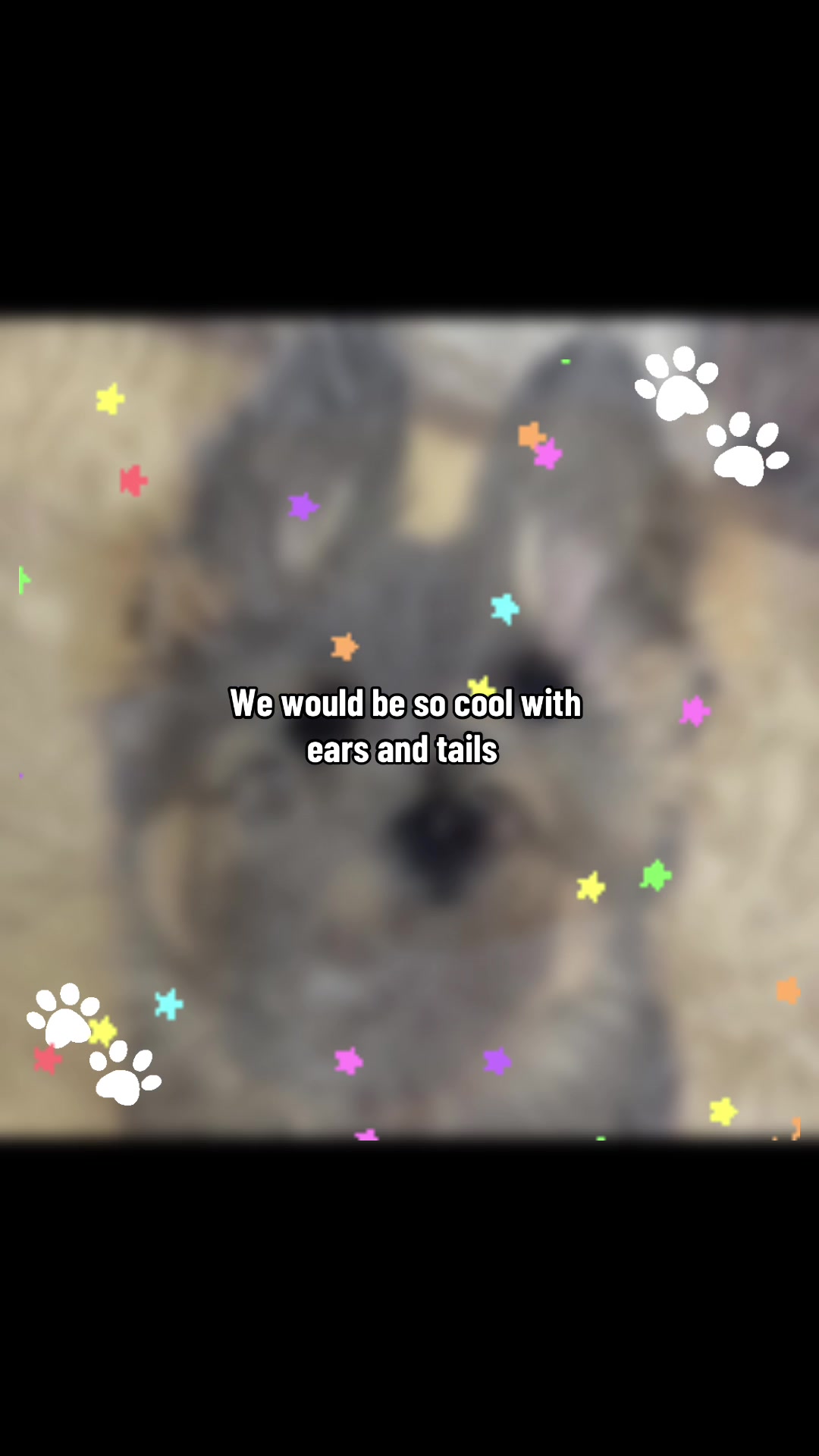 @꧁🫀ᴀᴅᴀᴍ🐾꧂