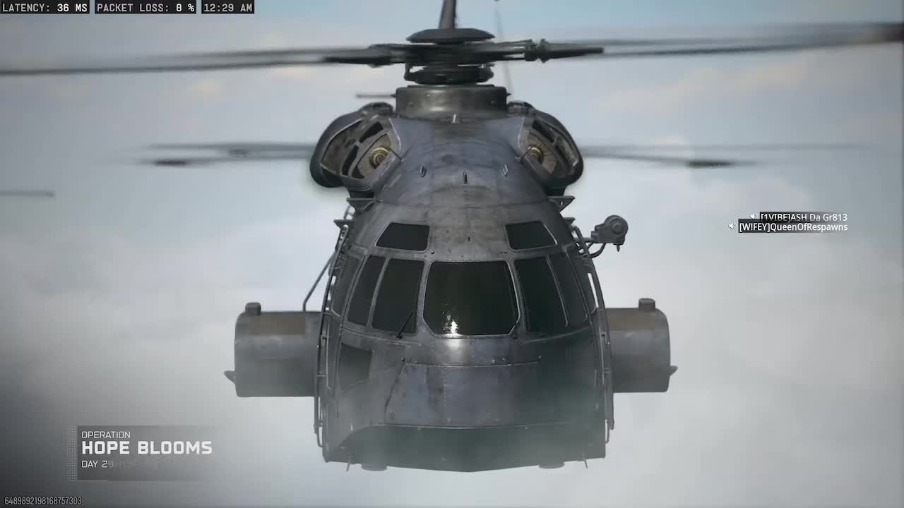 @ashdagr813