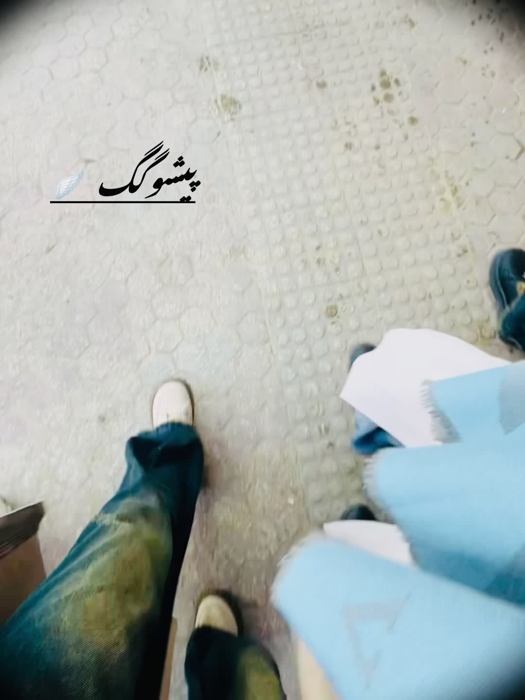 @🎀پیشو🌝گگ🎀