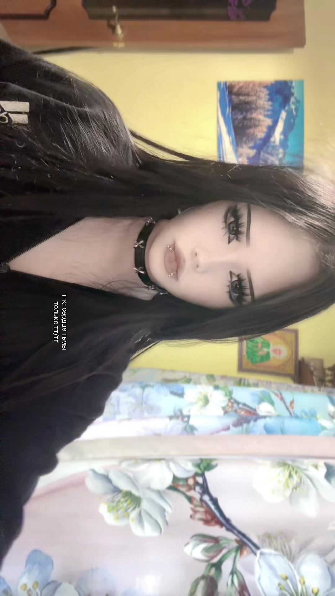 @meowmuri
