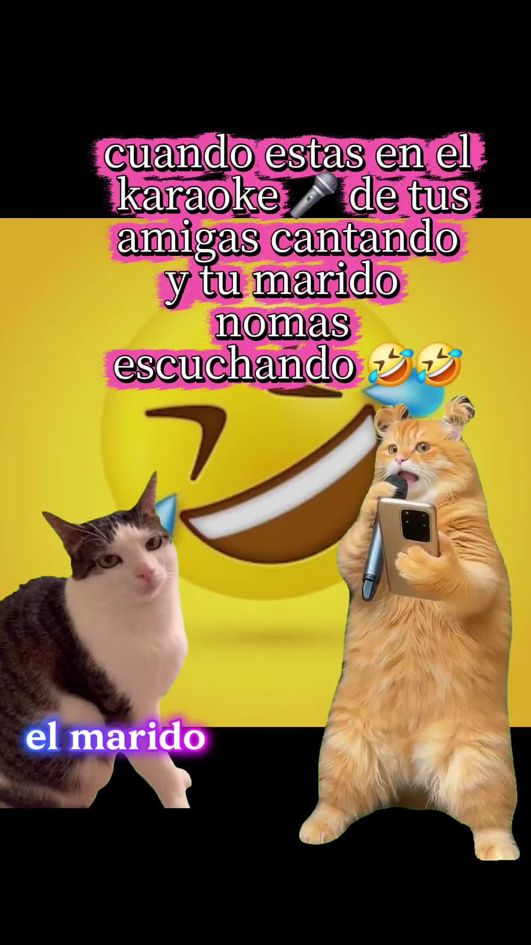 @🦁🦋osiris🧁🎶🌺🌷💘🐊🐬🌅