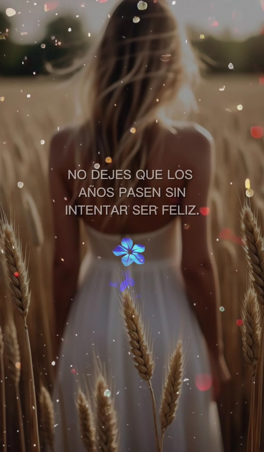 @lianet