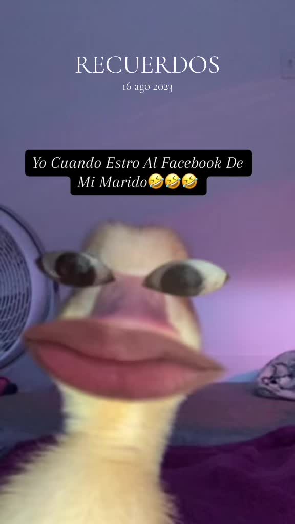 @🌸🪐Mᴀʀy☾🐬🇸🇻