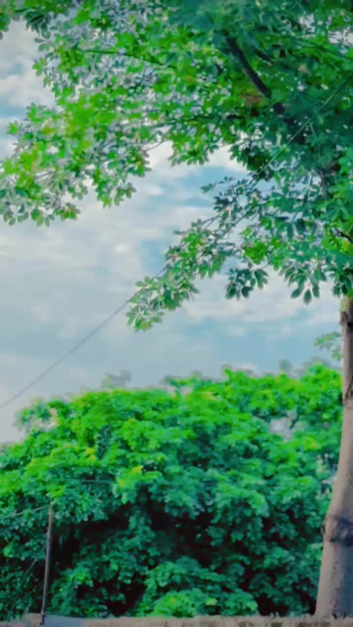 @روحِ مَـــن___🫠♥️