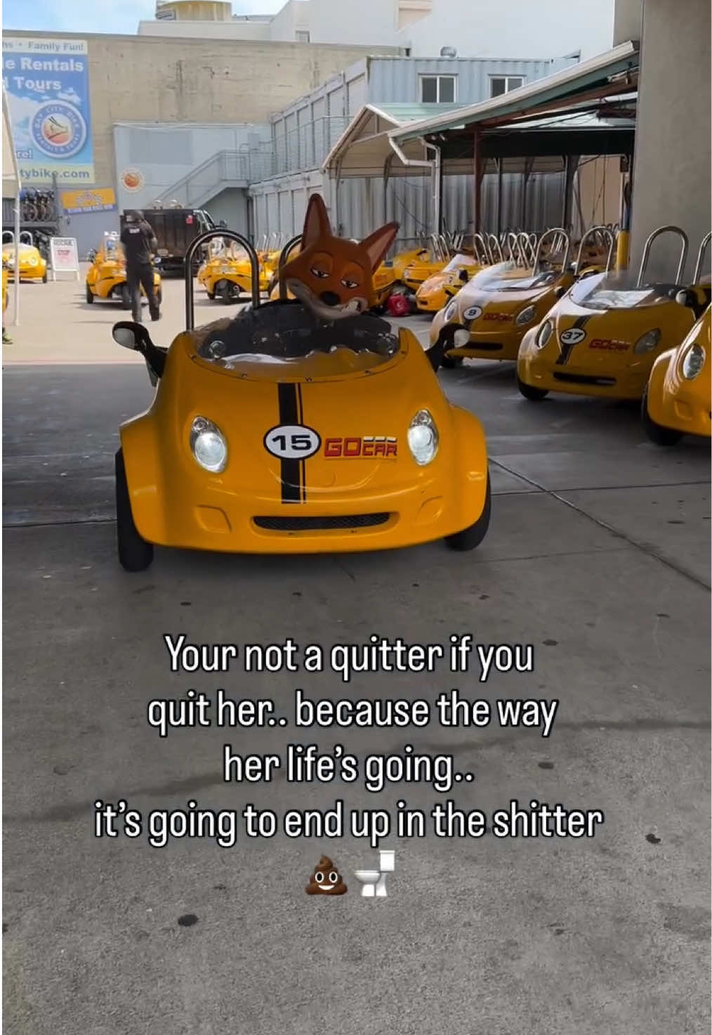 @Silky The Fox
