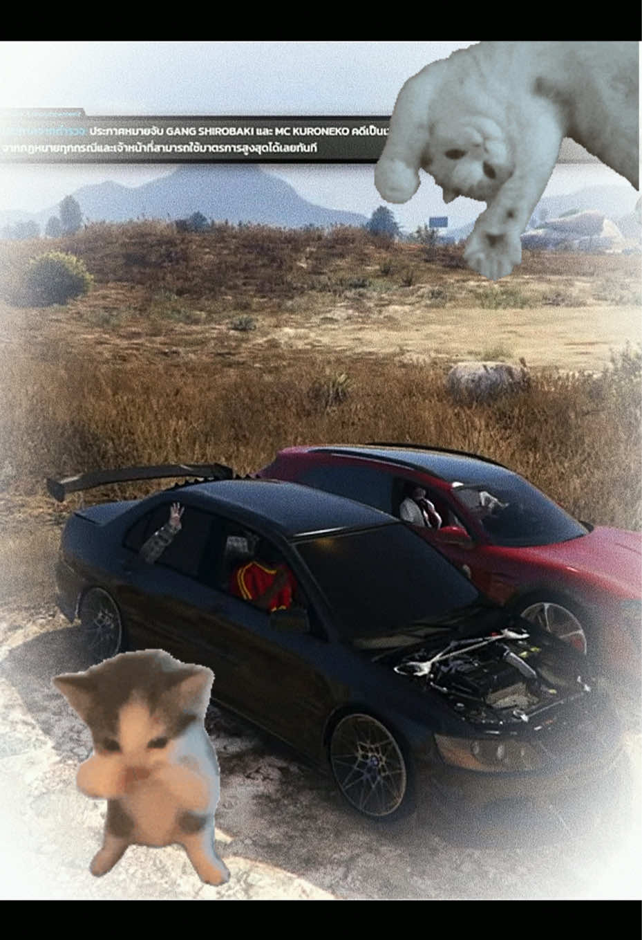 @𝚛𝚊𝚋𝚋𝚒𝚝 𝚑𝚘𝚞𝚜𝚎🐰ིྀ