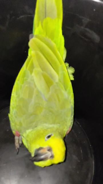 @𝓜𝓲𝔁𝓮𝓭 𝓲𝓷𝓭𝓲𝓪𝓷 🇬🇾