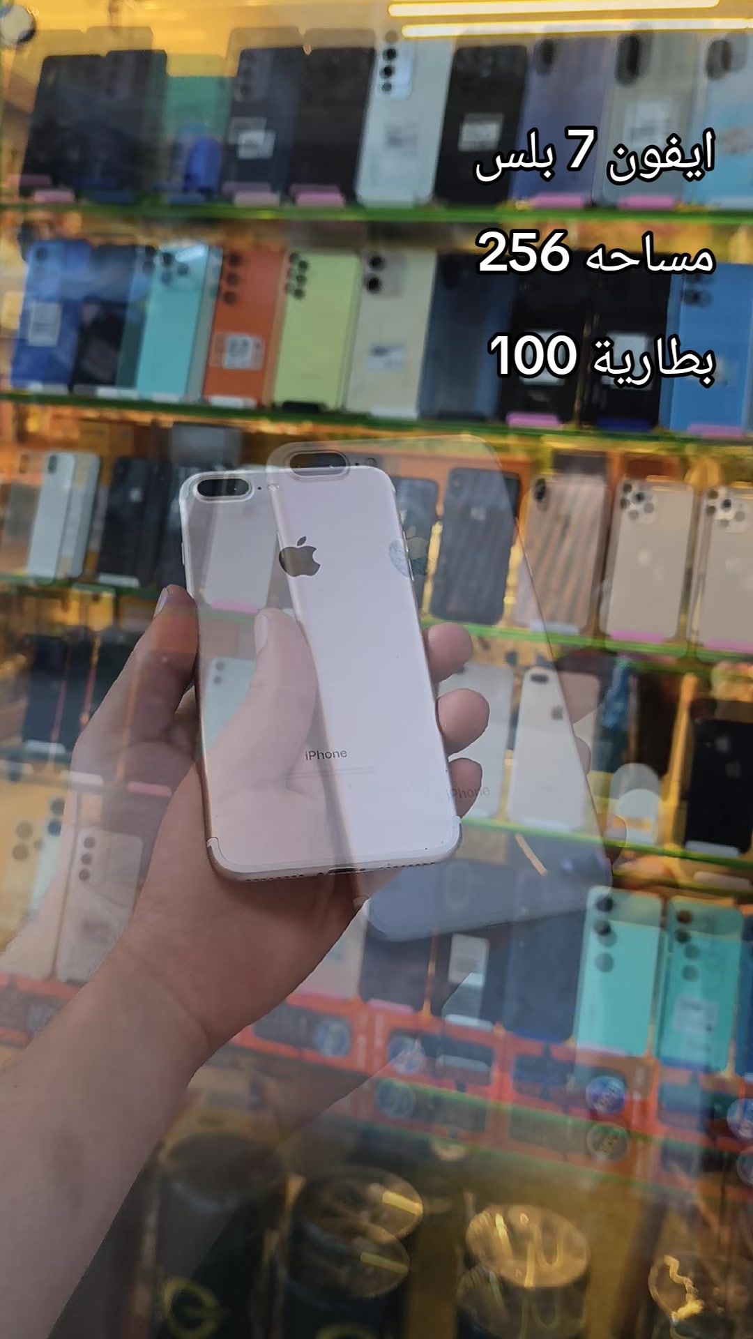 @mohamed yasser