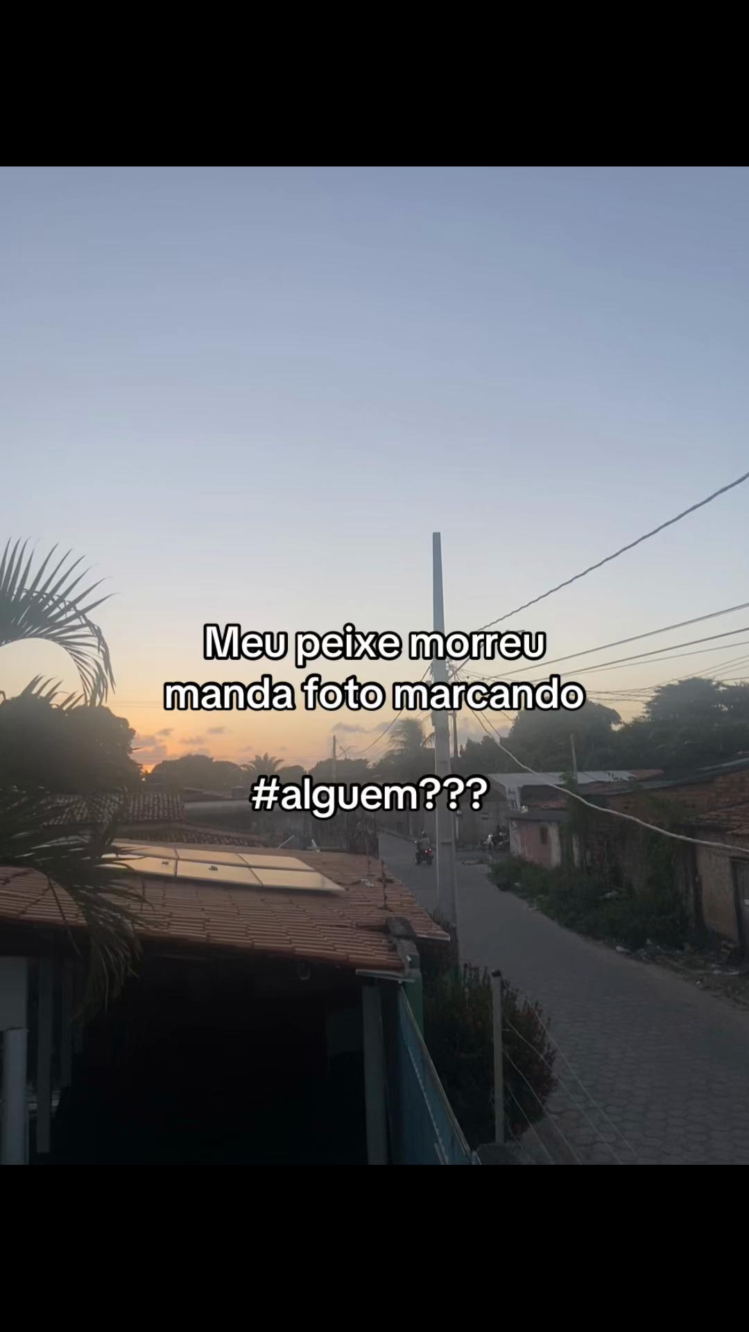 @manuelaypriv